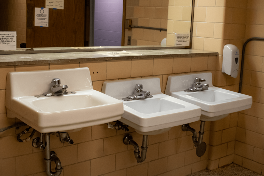 A communal bathroom sits empty on the second floor of Neptune Hall West. Neptune experienced an issue with a boiler valve resulting in a lack of hot water. (Northern Star File Photo)