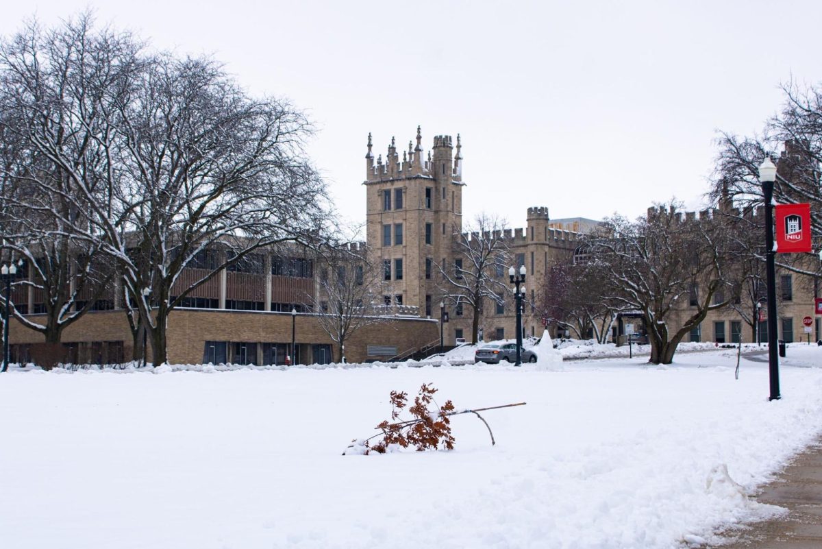 A blanket of snow covers the ground outside Altgeld Hall. NIUs campus operations will be virtual Friday Jan. 12 due to hazardous weather. (Sean Reed | Northern Star)