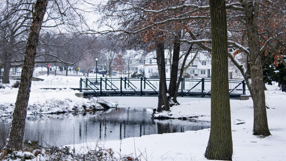 A creek flows into the East Lagoon divided by a bridge where water meets the frozen lagoon surface. NIU’s campus was closed Jan. 9 due to a winter storm heavily impacting DeKalb. (Sean Reed | Northern Star)