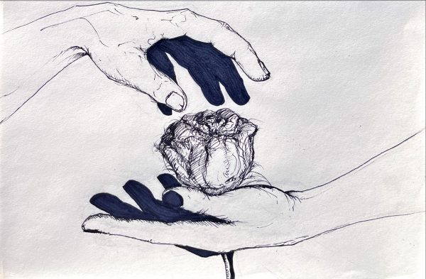 A masculine hand reaches to take a rose held in the palm of another hand. Men should receive flowers as gifts just as women typically do. (Gabriel Fiorini | Northern Star)