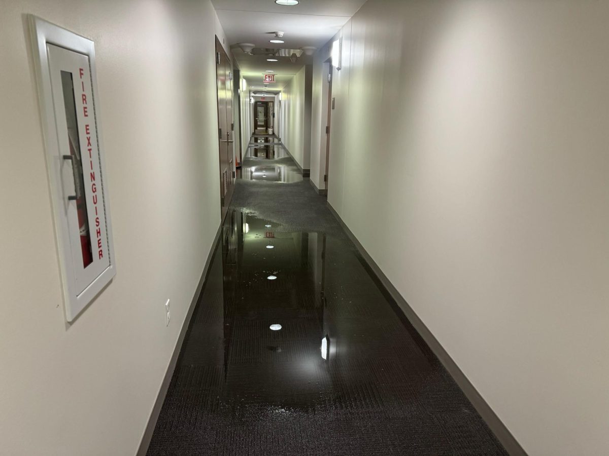 Water seeps into the carpet of Patterson Hall East, even side. At 1:10 a.m. Thursday, residents were rushed out of their dorms due to flooding. (Gabby Crabtree | Northern Star)