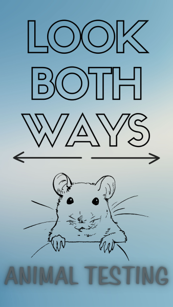 A mouse peers outward beneath the words “Look Both Ways” and the topic of the week: Animal testing. Is animal testing justified? (Lucy Atkinson | Northern Star)