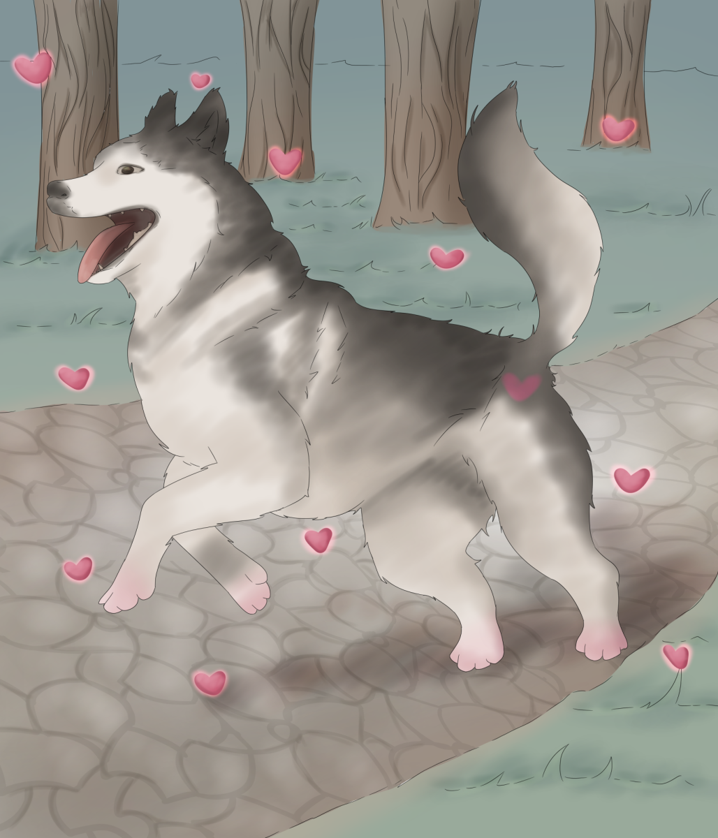 A huskie prances down a wooded, cobble-stone path surrounded by floating hearts. Valentines Day is just around the corner, NIU; its time to spread the Huskie love! (Robin Gamboa | Northern Star)
