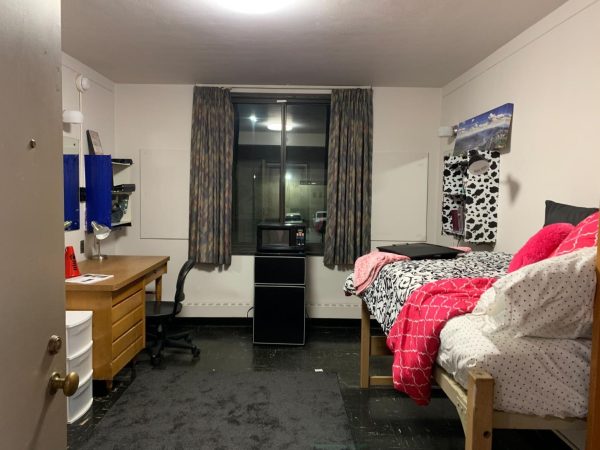A mock-up single dorm in Neptune North sits with a bed, mini fridge and a desk. The Board of Trustees approved a funds request to convert 150 single beds into double dorms. (Rachel Cormier | Northern Star)