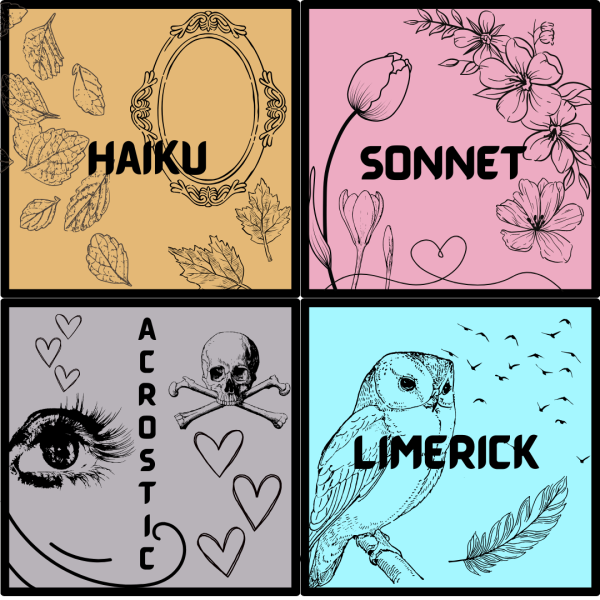 Four quadrants contain symbols from four famous forms of poetry: haiku, sonnet, acrostic and limerick. April is National Poetry Month, what type of poetry is best? (Lucy Atkinson | Northern Star)