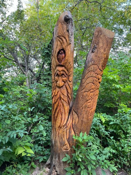 A pair of trees with faces and an owl carved into them stand in the woods. Prairie Park offers man-made and natural picturesque scenes. (Ro Hong | Northern Star)