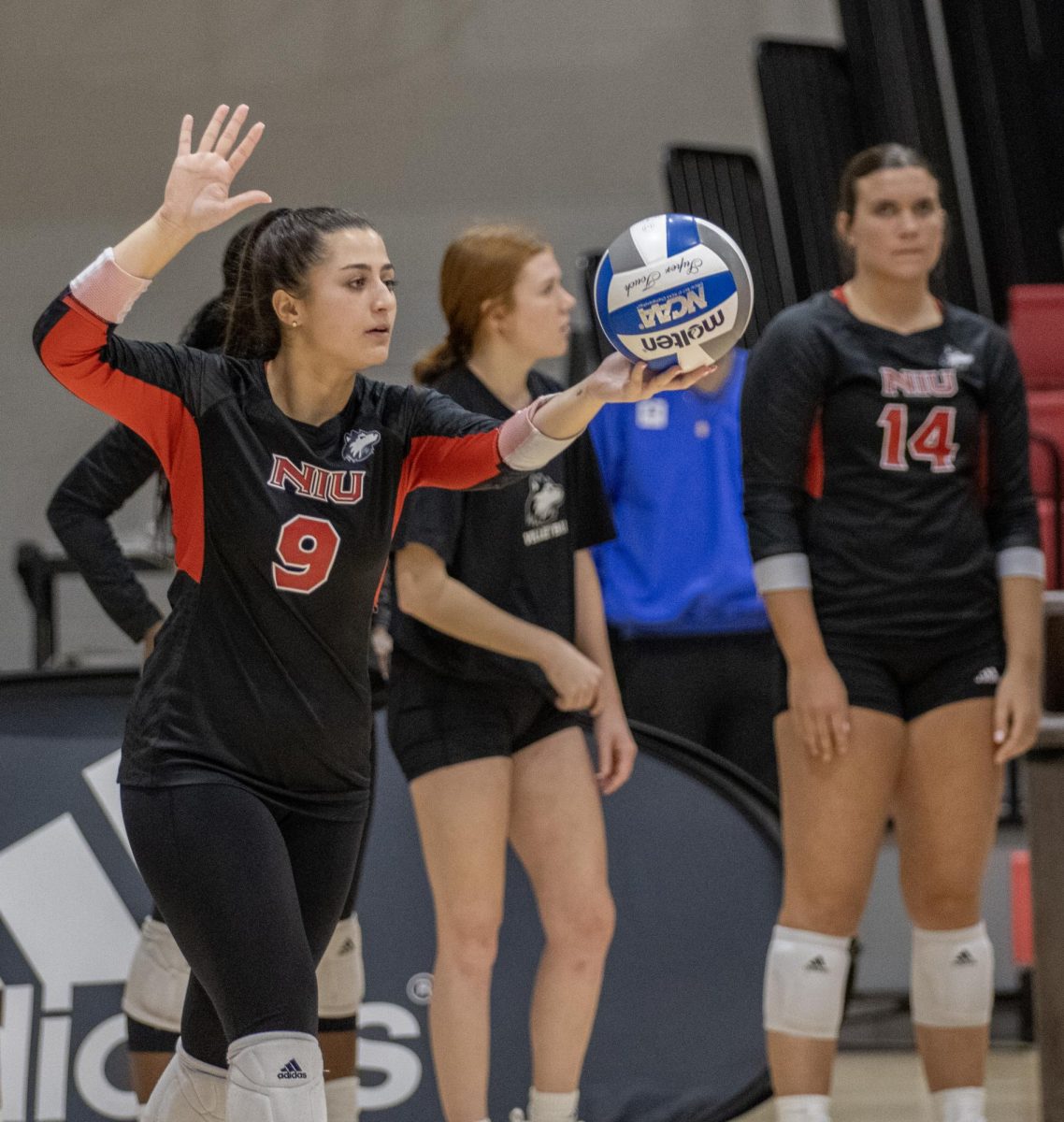 Junior defensive specialist/libero Jada Cerniglia prepares to serve in an NIU volleyball home game against the University of Akron on Oct. 27, 2023. The MAC announced a new schedule format for conference games on March 27. (Tim Dodge | Northern Star)