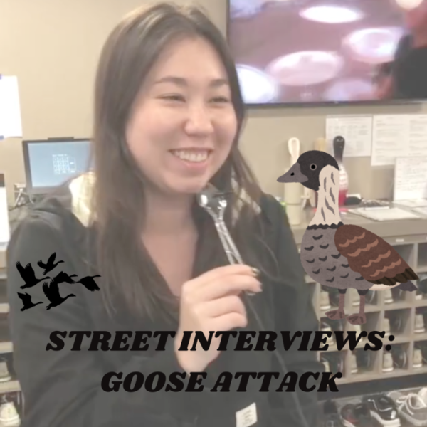 Jatavion Young, a sophomore middle level teaching major, responds to a street interviews prompt. What’s your plan if a goose attacks? (Northern Star Graphic)