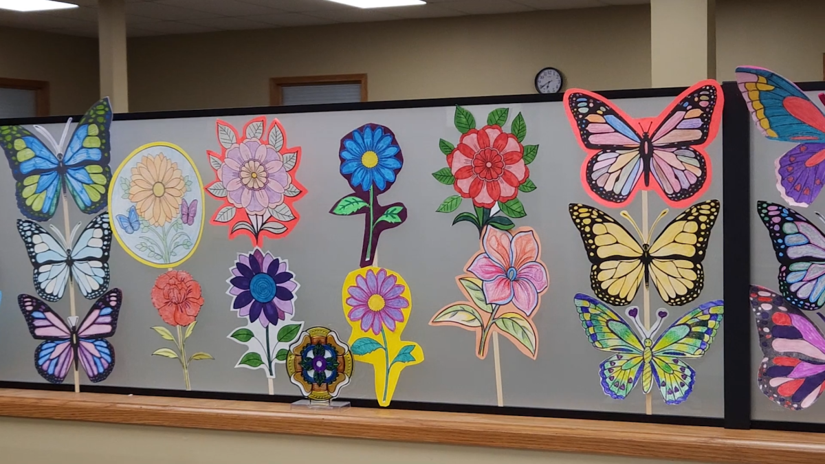 Colored in flowers and butterflies hang on a wall at the offices of Safe Passage. In sexual assault, the butterfly is a symbol for change and how a persons story never ends. (Joseph Howerton | Northern Star) 