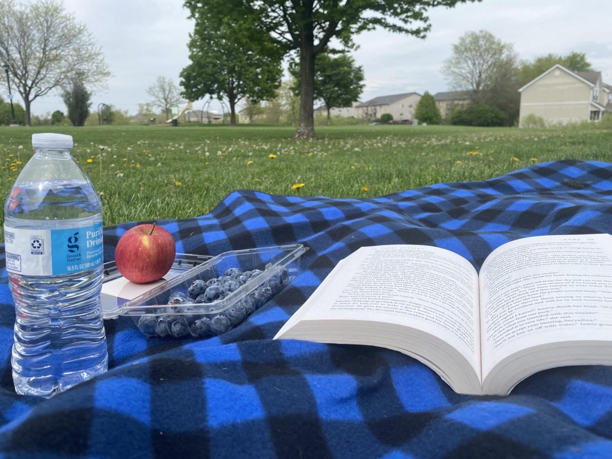 A photo illustration shows a picnic. Make sure you practice healthy habits this summer such as staying hydrated and spending time outdoors. (Brynn Krug | Northern Star)