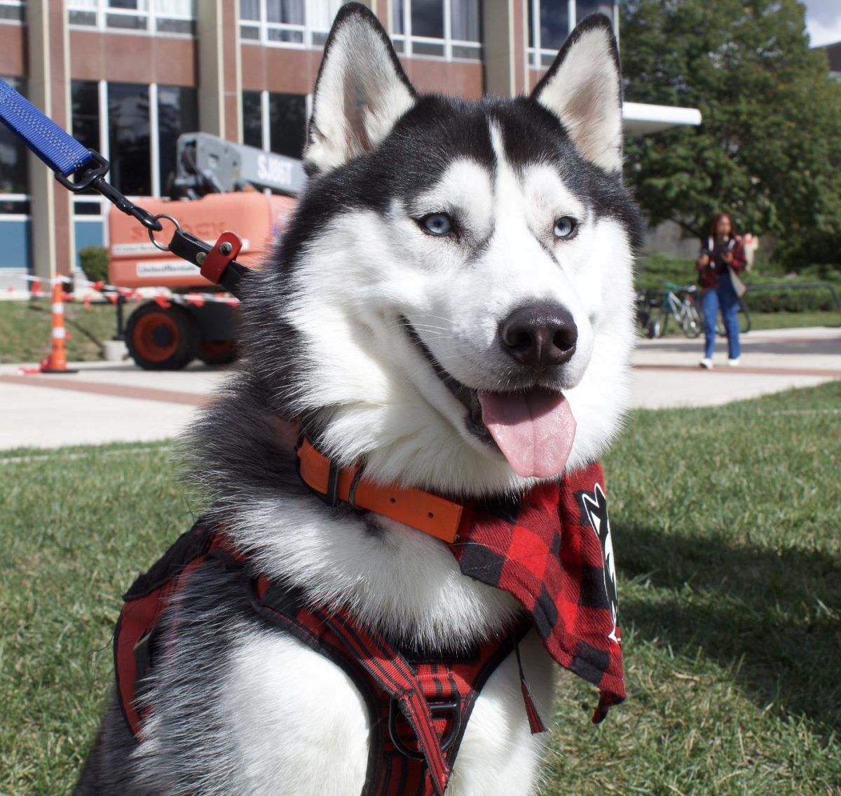 NIU live mascot Mission III smiles for the camera in front of the Holmes Student Center on Oct 9, 2023. Mission III will finish a friendly competition with Western Illinois University live mascot Colonel Rock "Ray" IV on Saturday before NIU football's season opener against WIU. (Northern Star File Photo)