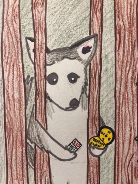 A Huskie reaches through trees in a forest, staring uncertainly at a calculator and a compass that reads “Deficit Plan.” Students and faculty should not be overtly concerned about the deficit, but Huskies should also be aware that NIU is not out of the woods yet. (Lucy Atkinson | Northern Star)