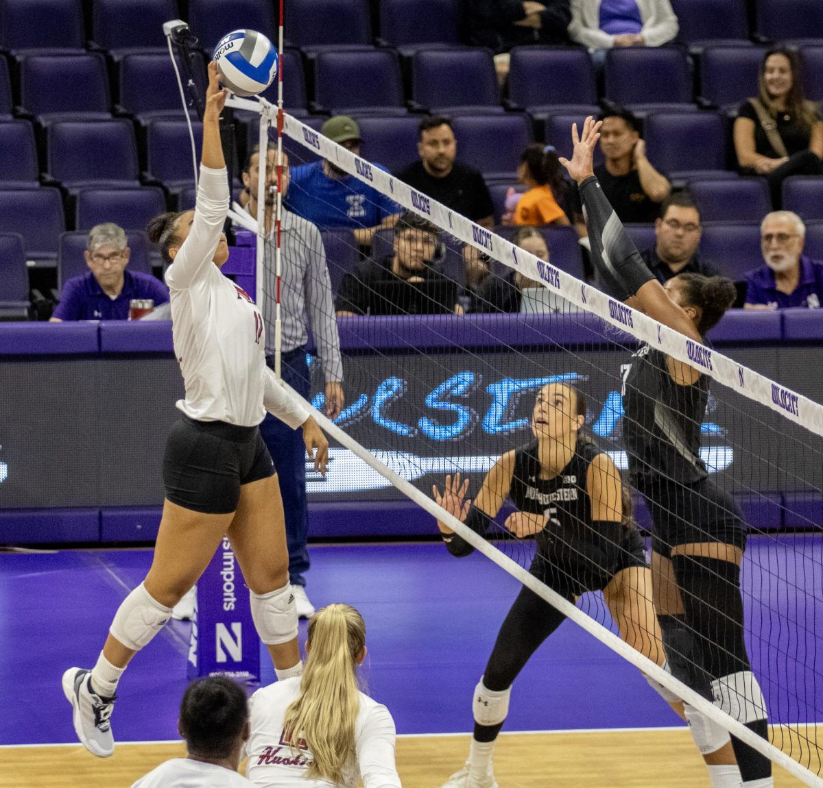 Senior mid-blocker Charli Atiemo (11) prepares to spike the ball over the net. Atiemo posted 5 kills as the Huskies surrendered three sets to Northwestern University on Sept. 20. (Northern Star File Photo)