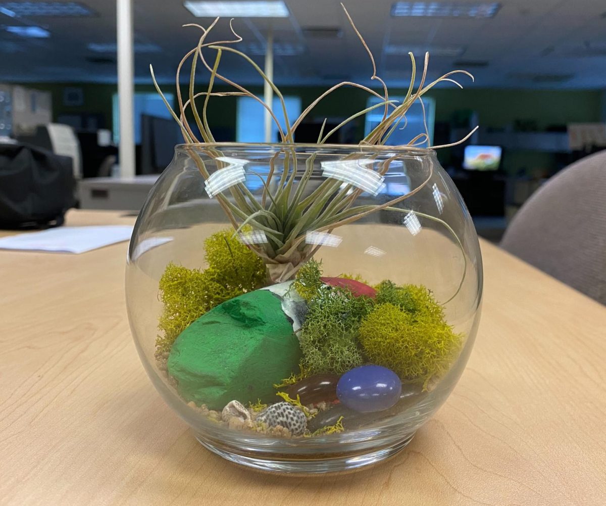 A terrarium sits on a table. On Tuesday, the Latino Resource Center provided supplies to make terrariums to celebrate Latino Heritage Month. (Brynn Krug | Northern Star)