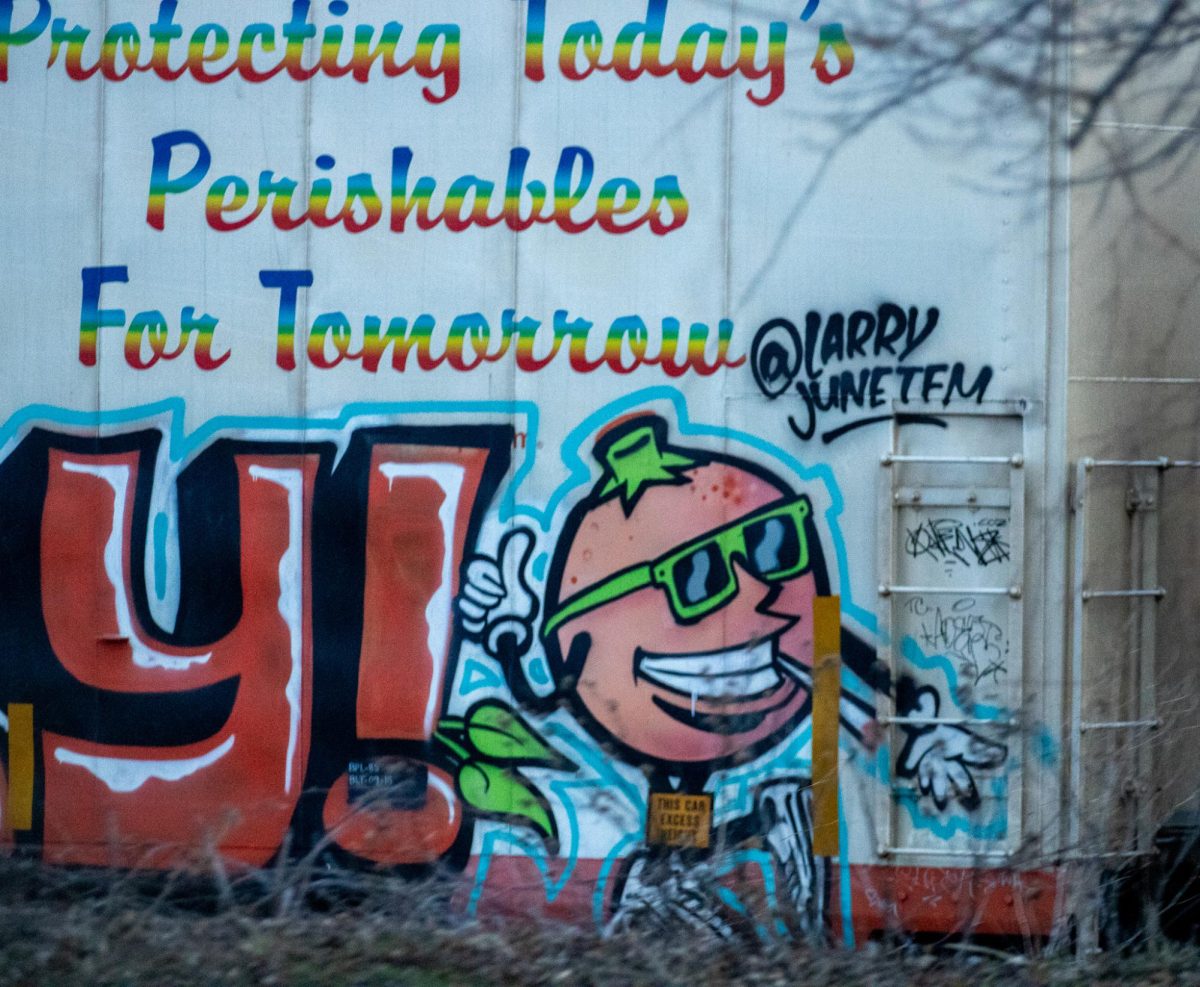 Graffiti is shown on the side of a train by Culvers and Fatty’s Pub Sports and Grille in DeKalb. Graffiti can cause business owners trouble with branding and reputation. (Tim Dodge | Northern Star)