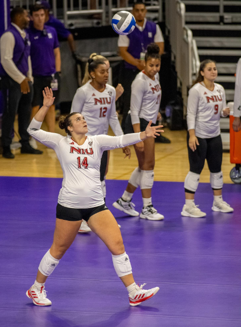 NIU junior right-side hitter Sarah Lezon (14) looks up at the ball, getting set to serve on Sept. 18 at Welsh-Ryan Arena. NIU volleyball lost in three sets to the University of Toledo on Saturday for the Huskies' four-straight match without winning a set. (Northern Star File Photo)