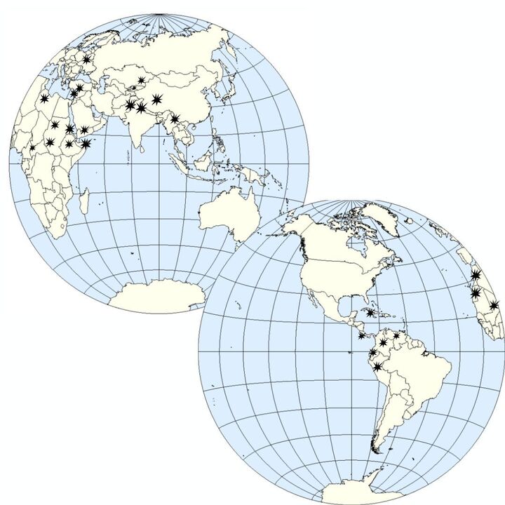 Many countries across both hemispheres of the globe are marked with black star symbols on a map. Each marking represents a country experiencing some level of conflict, from governmental repression to insurgency and border conflict wars, as mentioned by Opinion Columnist Santiago Montañez Bertoletti. The size of markings does not indicate level of conflict, and the placement of markings does not indicate regional zone of conflicts within countries, only the country itself. (Courtesy of Wikimedia Commons | Northern Star Graphic)