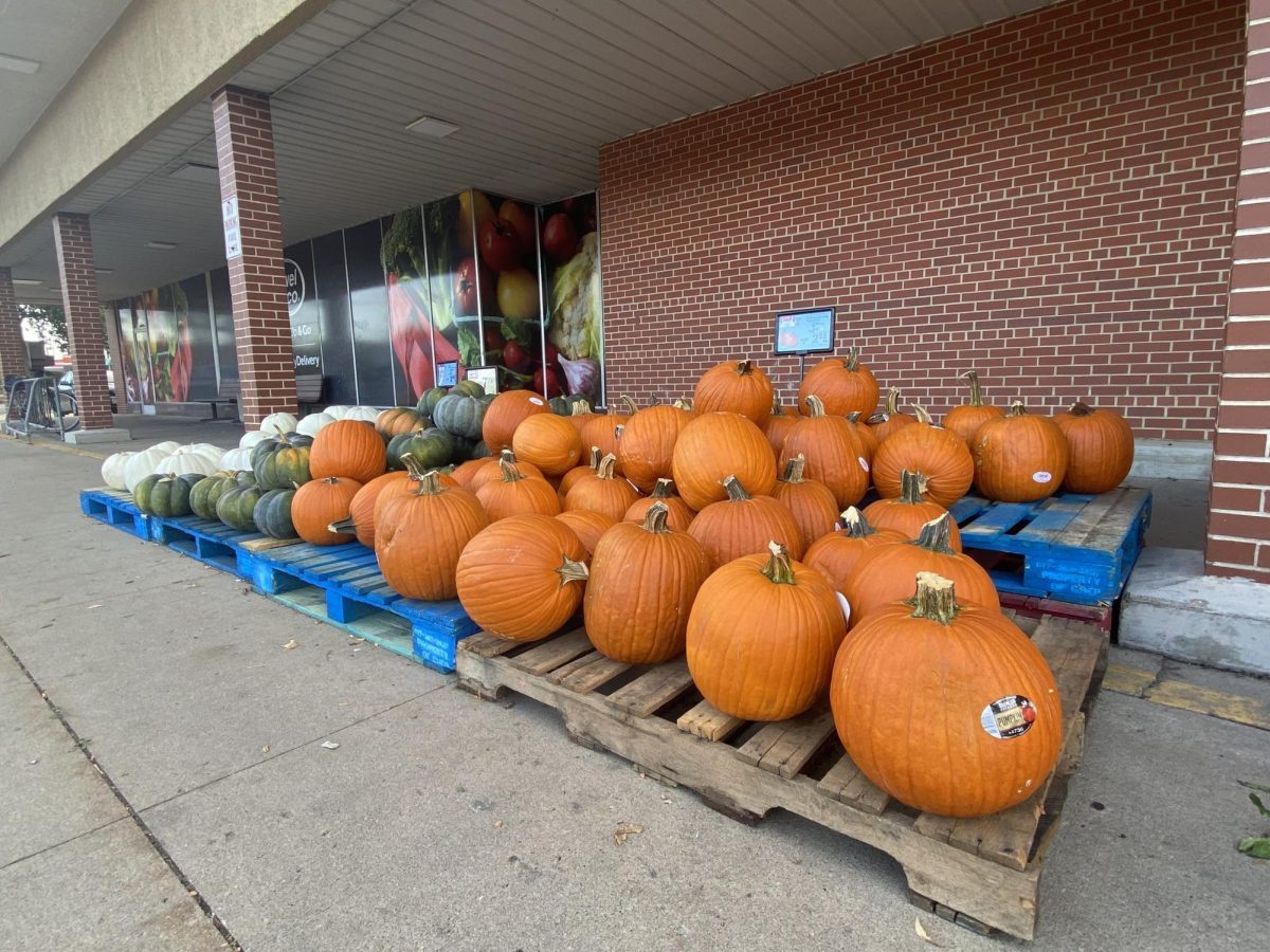 White, green and orange pumpkins sit in front of Jewel-Osco located at 1320 Sycamore Road. The annual Sycamore Pumpkin Festival will kick off Wednesday and go through Sunday. (Ryanne Sandifer | Northern Star)