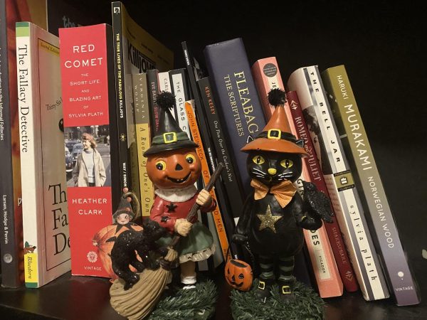 Books and Halloween decorations sit on a shelf. To get in the mood for Halloween, read some spooky books. (Brynn Krug | Northern Star)