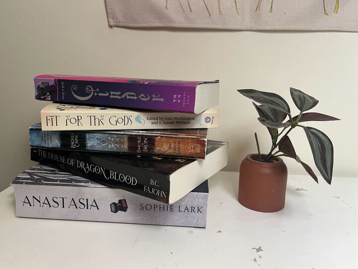 Five books sit stacked atop one another next to a plant. Managing Editor Sarah Rose credits literature and storytelling for turning her into the person she is today. (Sarah Rose | Northern Star)