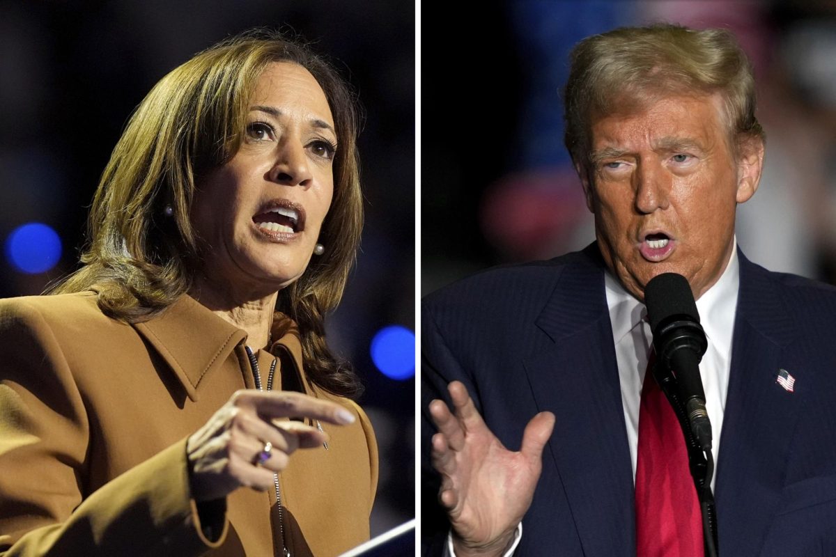 Vice President Kamala Harris and president-elect Donald Trump speak at two different campaign rally events prior to the 2024 presidential election. NIU students and faculty shared their thoughts about the outcome of the presidential race. (Jacquelyn Martin, Julia Demaree Nikhinson / AP Photo)