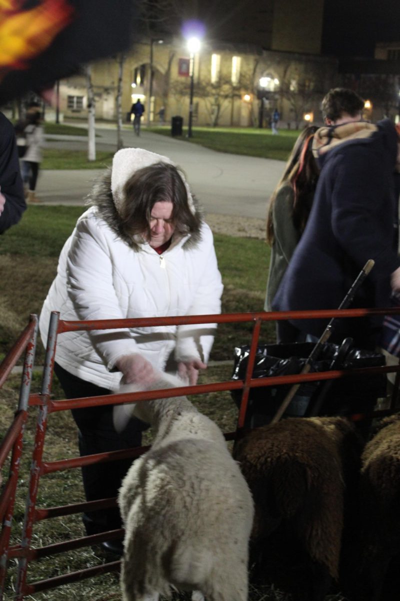 Disability Resource Center Director Jennifer Salmon pets a sheep. A petting zoo is one of the many activities offered at the CAB Winter Wonderland event. (Northern Star File Photo)