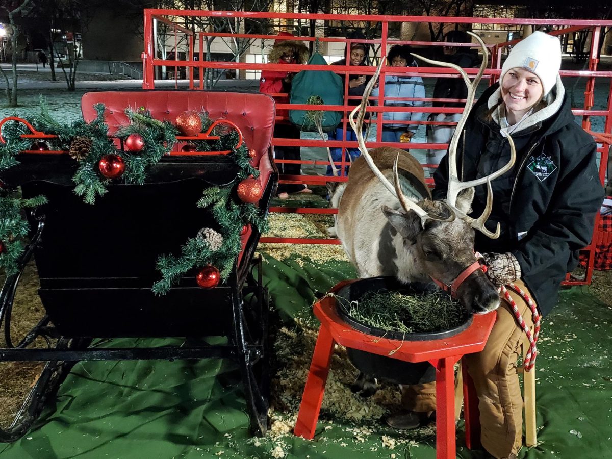 Olive the reindeer stands next to a festively decorated sleigh. CAB Winter Wonderland was rescheduled for Jan. 15 and had events such as a reindeer petting zoo and ice-skating rink. (Jonathan Shelby | Northern Star)