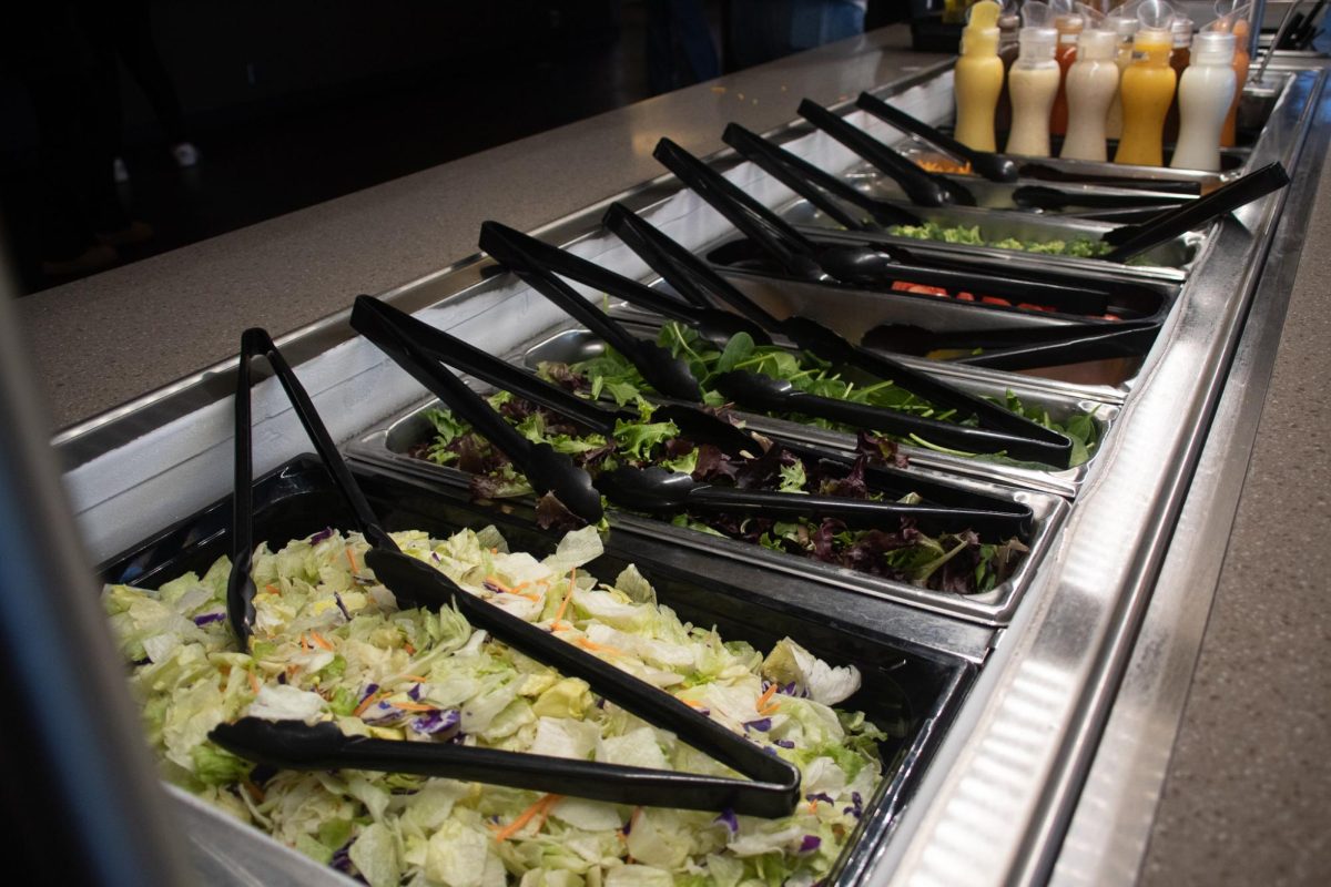 Different types of toppings for salad sit at Neptune Dining Hall's salad bar station. Which dining hall is the best dining hall on campus. (Katie Follmer | Northern Star)