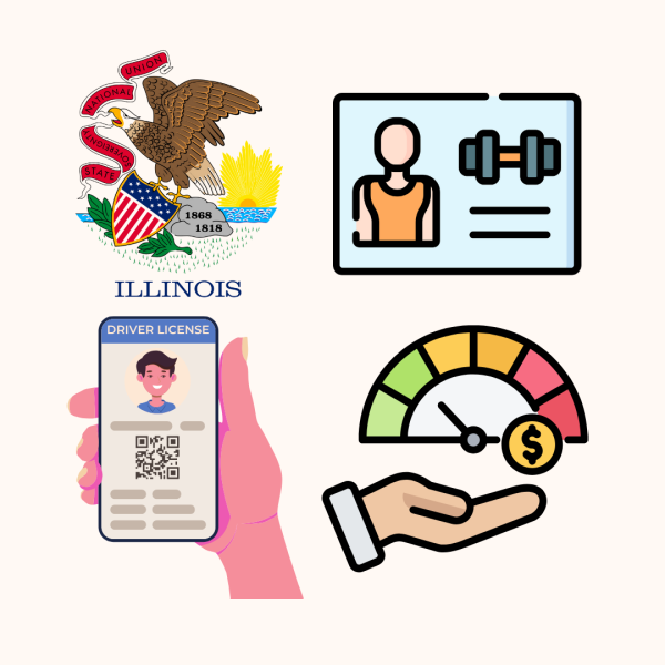 A graphic shows the Illinois state seal, an image depicting a member of a gym, a mobile drivers license and a payscale. Nearly 300 new laws went into effect at the start of 2025. (Tim Dodge | Northern Star)