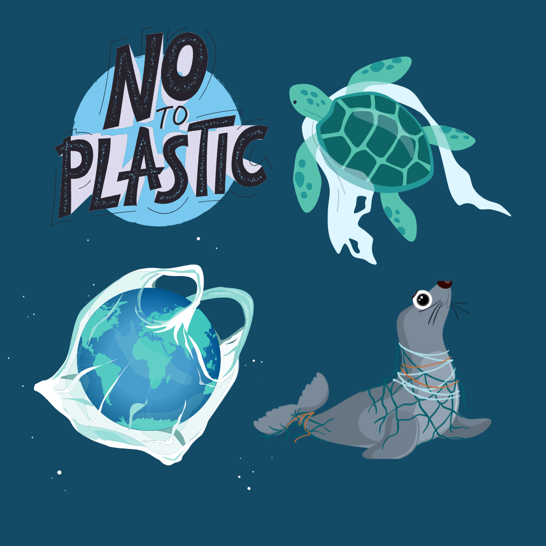 A graphic depicts the words "No to Plastic," a turtle covered in plastic, the Earth inside a plastic bag and a seal stuck inside plastic. Opinion Columnist Lalita Rai believes more should be done to reduce the amount of plastic pollution on Earth. (Tim Dodge | Northern Star)