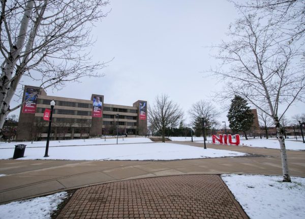 The Founders Memorial Library sits on a snowy day. Nathan Lee expresses his opinion that the Founders Memorial Library hours should be extended on the weekends in order to potentially reduce crime in DeKalb. (Northern Star File Photo)