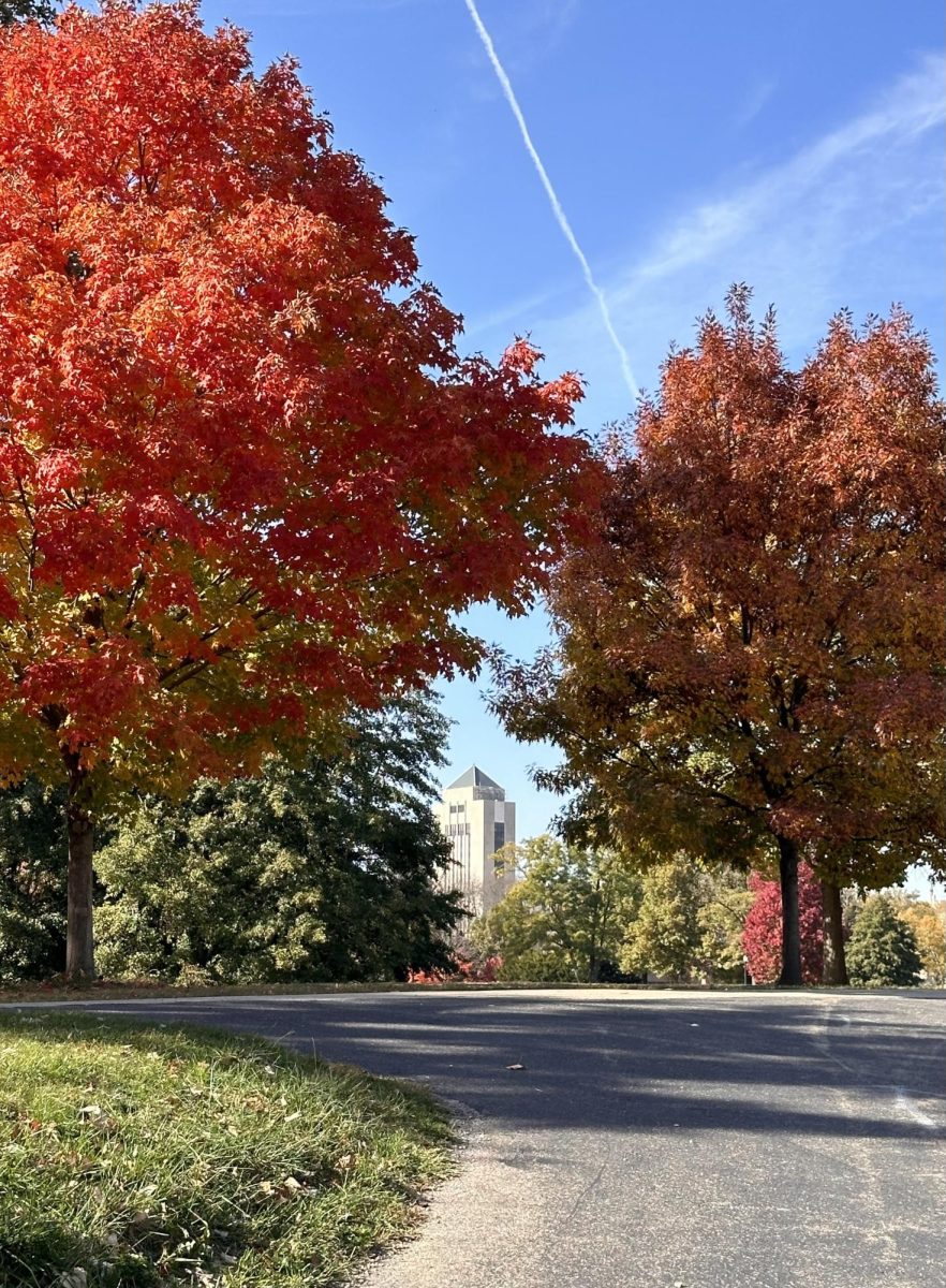 First Place - The Holmes Student Center sits between trees as the leaves begin to change colors. The Northern Star’s Photo Competition accepted submissions for its first theme between March 24 and April 6. (Courtesy of Akemi McHan)