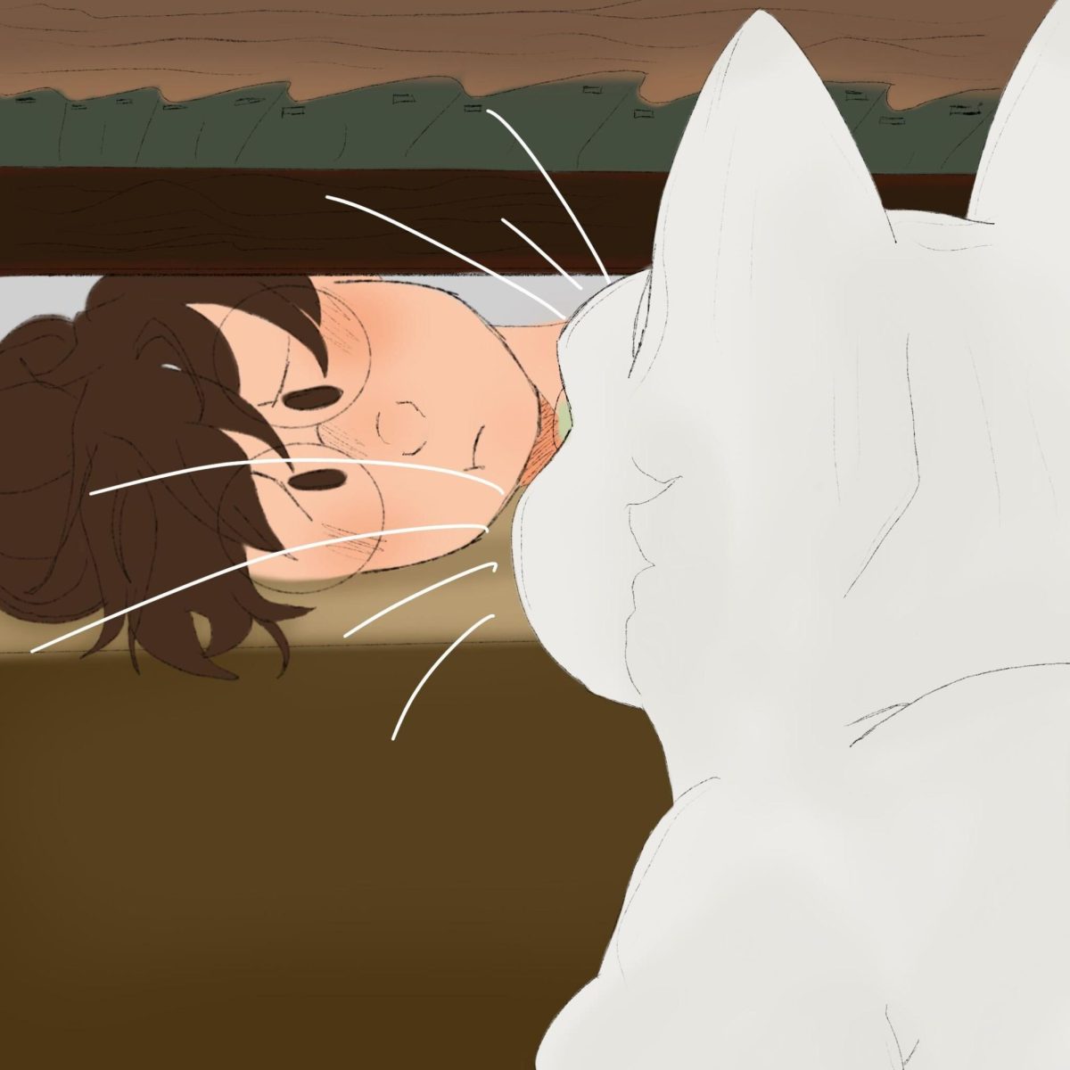 A white cat looks at a person under a bed. Opinion Columnist Byrdie Seda argues cats can teach humans patience and other valuable life skills. (Kaylee Rutherford | Northern Star)