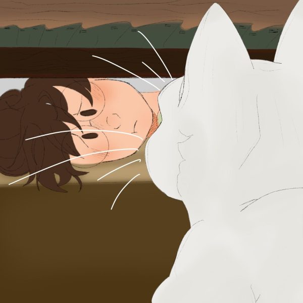 A white cat looks at a person under a bed. Opinion Columnist Byrdie Seda argues cats can teach humans patience and other valuable life skills. (Kaylee Rutherford | Northern Star)