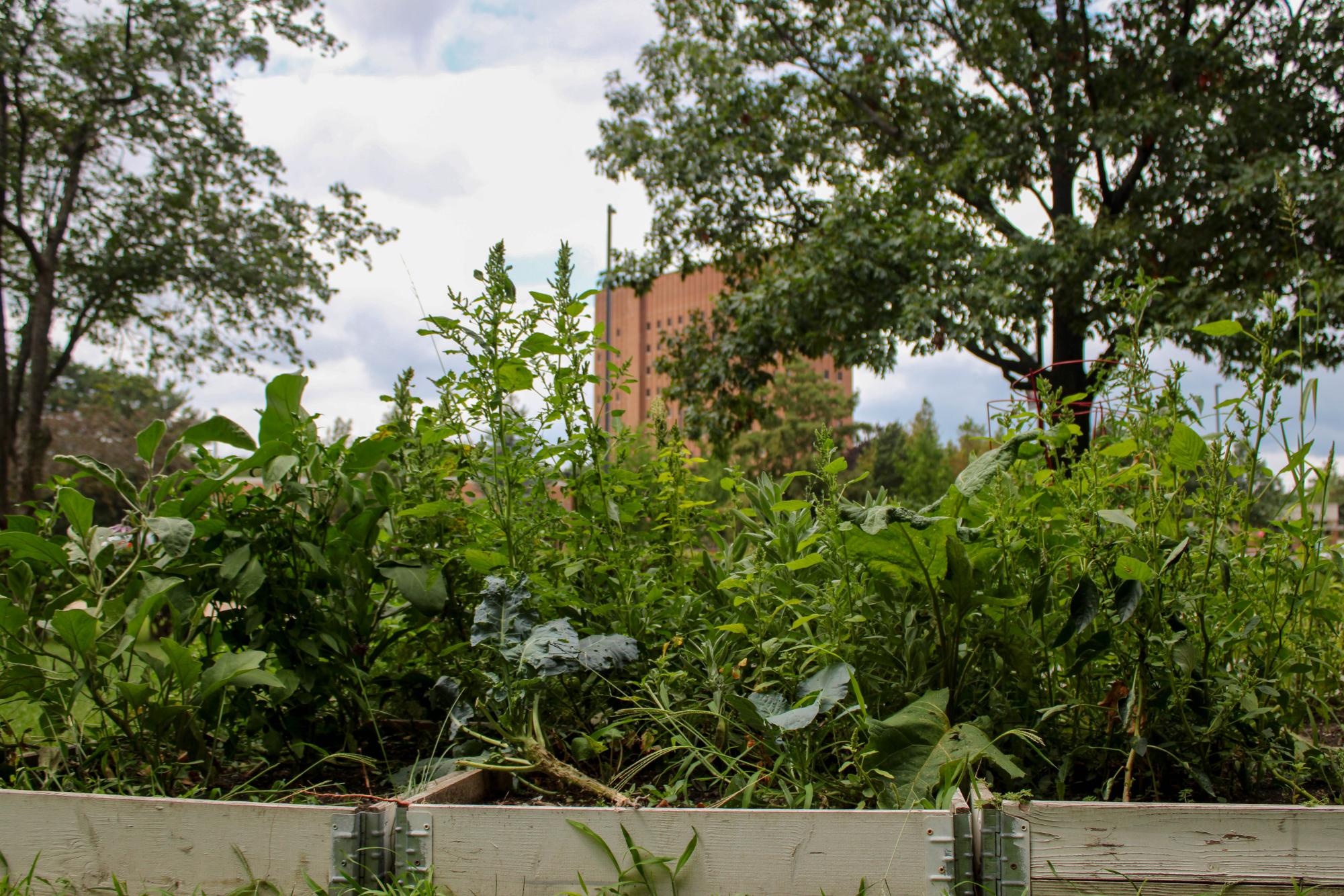 NIU hosts first fall sustainability event