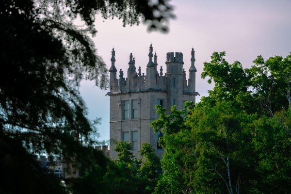 Altgeld Hall is seen peeking through trees from the East Lagoon. “Legacies on Display: The Forbidden and Venerated Arts of Burma” is currently on display starting at 10 a.m. every Wednesday and noon every Thursday and Saturday until May 9 in the west wing of Altgeld. (Totus Tuus Keely | Northern Star)