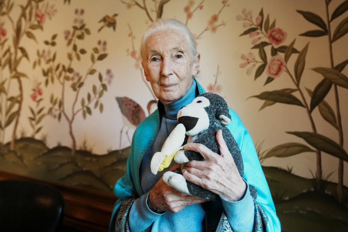 Jane Goodall poses for a picture at the British Embassy. Opinion Columnist Lucy Atkinson argues that people can honor Goodall's memory by supporting the causes she was a part of. (Reuters | Irina Dambrauskas)