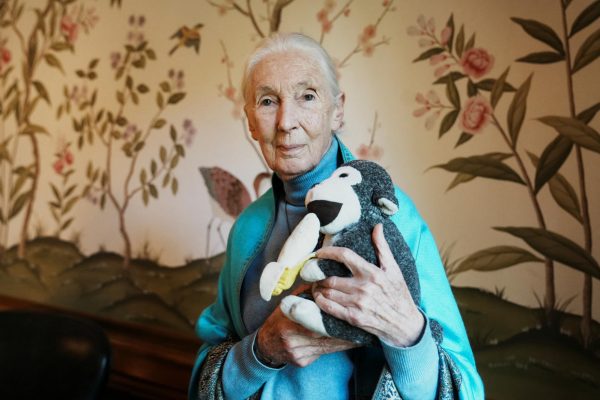 Jane Goodall poses for a picture at the British Embassy. Opinion Columnist Lucy Atkinson argues that people can honor Goodall's memory by supporting the causes she was a part of. (Reuters | Irina Dambrauskas)