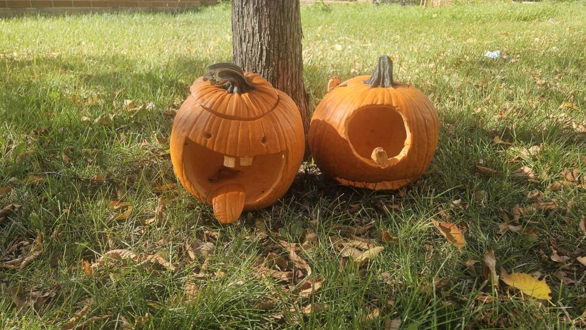 Carved pumpkins sit outside Patterson Residence Hall on a sunny day. Opinion Columnist Ethan Ernst argues people should be more conscious of Halloween decorations they use. (Kahlil Kambui | Northern Star)