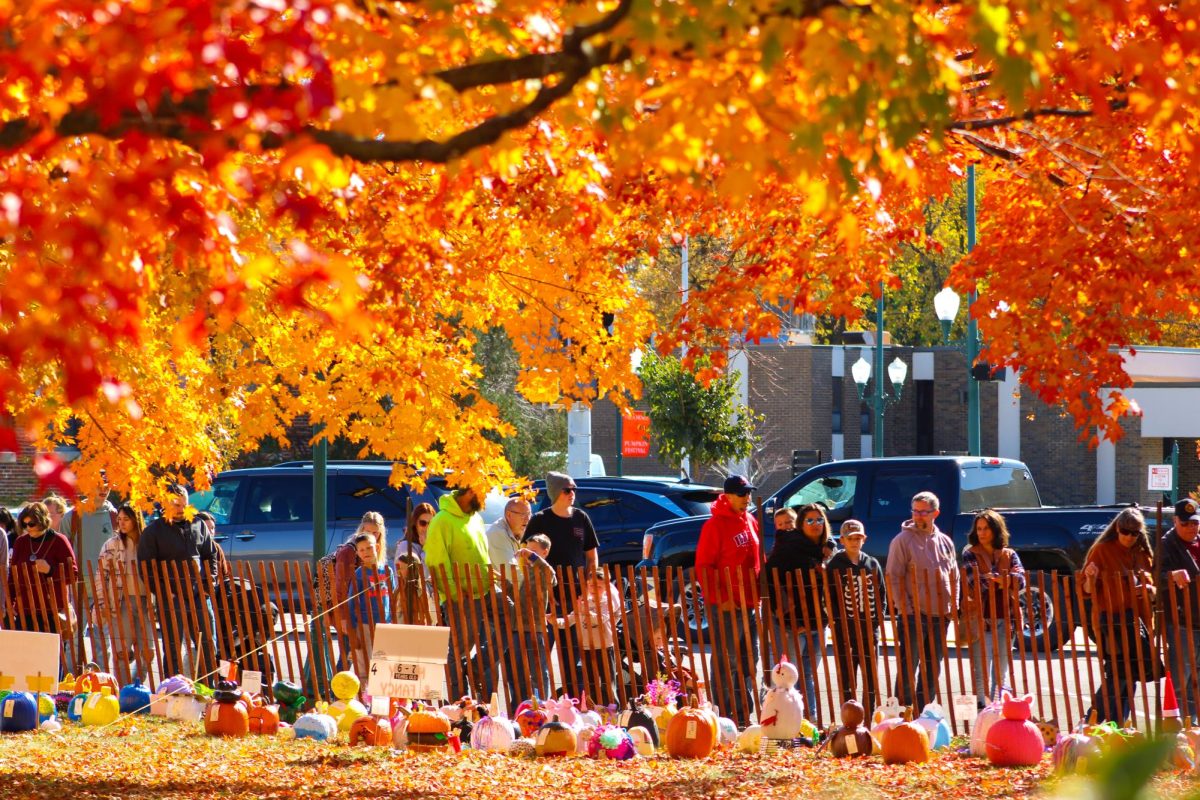 A line of people walk along the lawn of the DeKalb County Courthouse to admire the entries to the decorative pumpkin competition at the 2024 Sycamore Pumpkin Festival. This year, the Sycamore Pumpkin Festival will run from Wednesday until Sunday. (Northern Star File Photo)
