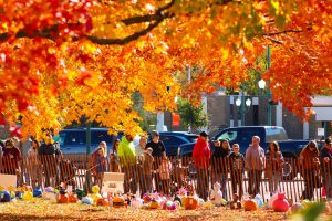 A line of people walk along the lawn of the DeKalb County Courthouse to admire the entries to the decorative pumpkin competition at the 2024 Sycamore Pumpkin Festival. This year, the Sycamore Pumpkin Festival will run from Wednesday until Sunday. (Northern Star File Photo)