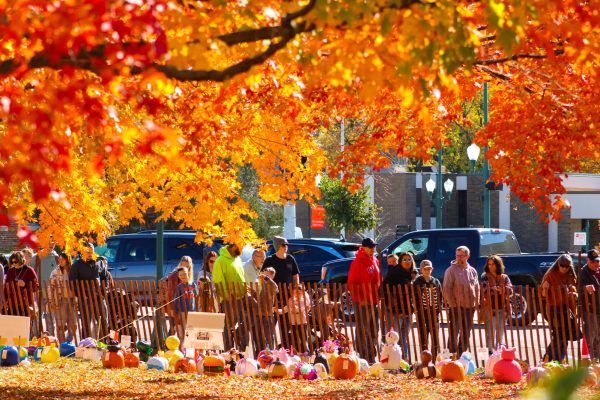 A line of people walk along the lawn of the DeKalb County Courthouse to admire the entries to the decorative pumpkin competition at the 2024 Sycamore Pumpkin Festival. This year, the Sycamore Pumpkin Festival will run from Wednesday until Sunday. (Northern Star File Photo)