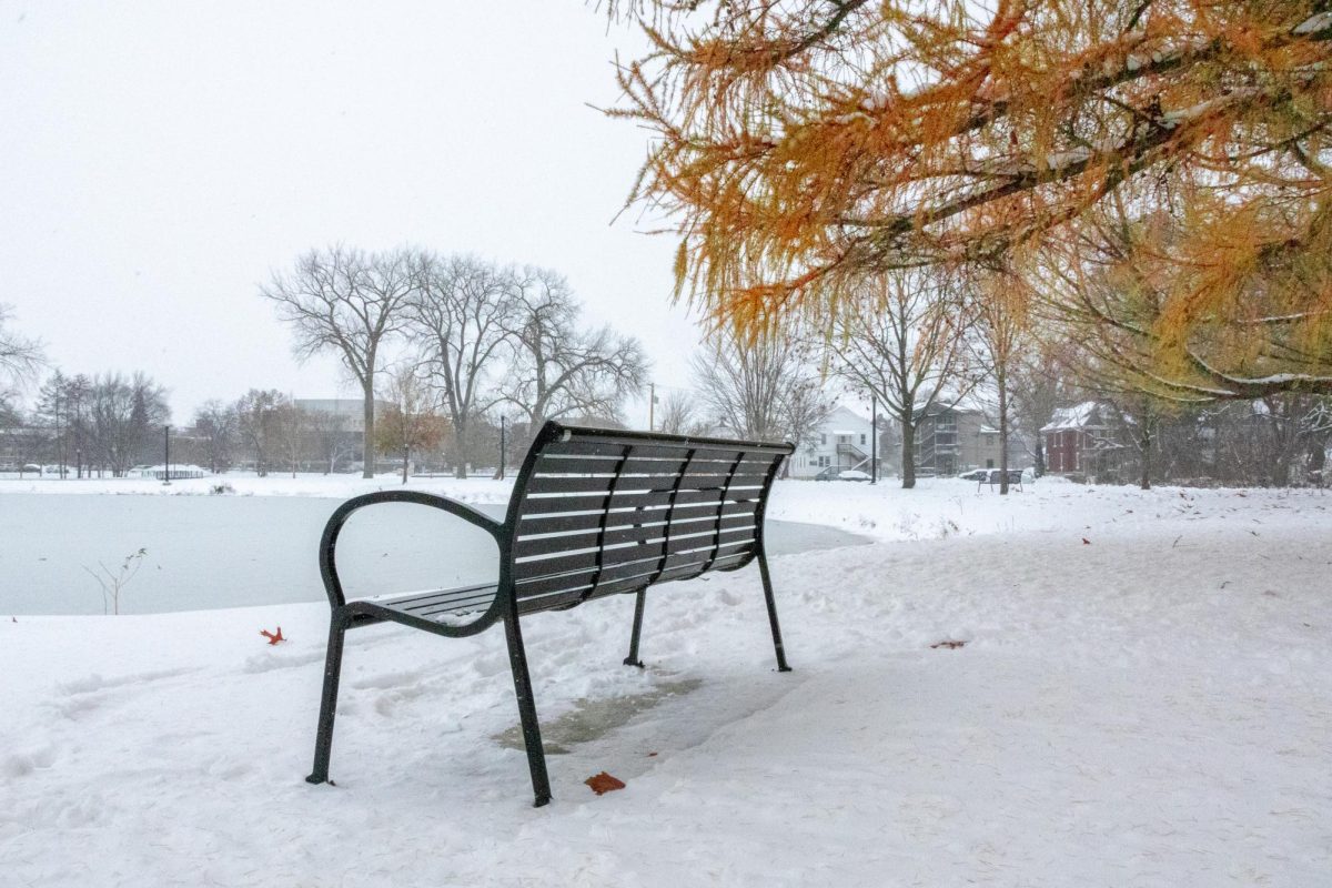 A bench covered in snow overlooks the East Lagoon. Lifestyle Writer Cayden Wells recommends five films to watch over the holidays. (Grace Kilbreath | Northern Star) 