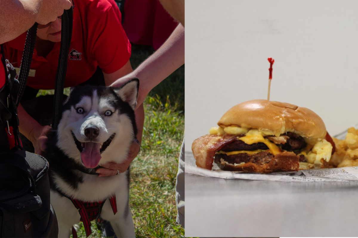 Hungry Mission III stares happily into the camera while a picture of the Huskie Den's new Huskie burger is overlayed next to him. The $6.70 burger is part of a Local Foods movement and will soon be joined by various goose meat items. (PETA Griffin | Northern Bizarre)